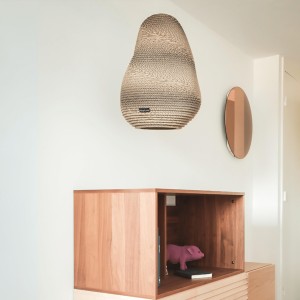 Apinae S Suspension - NOCTRA