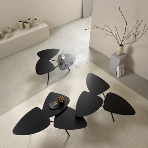Table basse modulable "63" Frêne - Klybeck