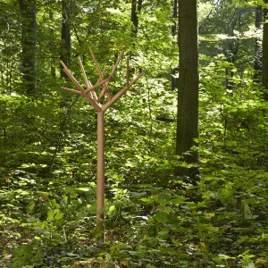 Portemanteau "y" Chêne - Klybeck