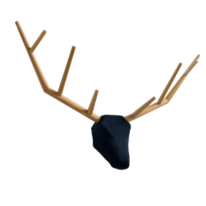 Hunting trophy 794 "yy" - Klybeck