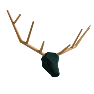 Hunting trophy 984 "yy" - Klybeck