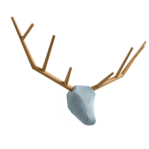 Hunting trophy 2722 "yy" - Klybeck