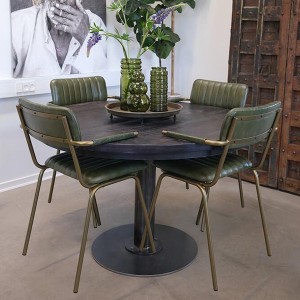 Chaise avec accoudoirs Cuir vert X2 - Trademark Linving