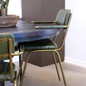 Chaise avec accoudoirs Cuir vert X2 - Trademark Linving