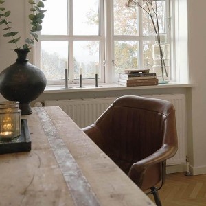Chaise Icon avec accoudoirs cuir X2 - Trademark Living