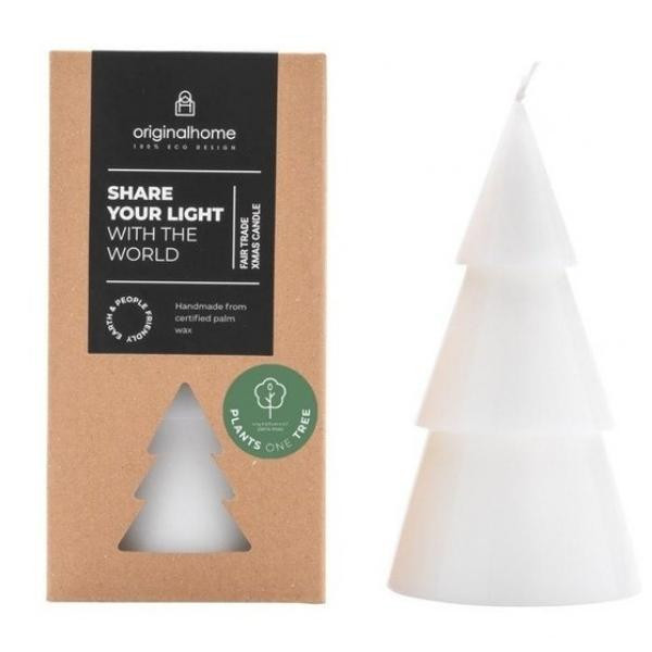 Bougie sapin Blanc L | Woodely