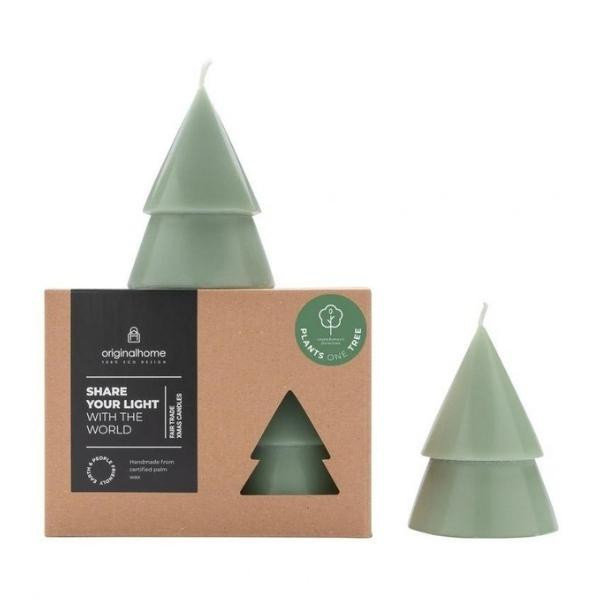Bougie sapin Vert M lot de 2 | Woodely