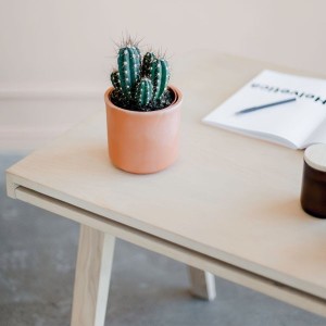 Natural ash wood desk from the EMKO collection