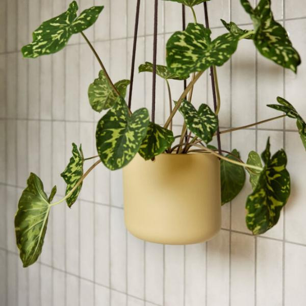 Hanging pots Bloom khaki large (set of 3) | Hübsch