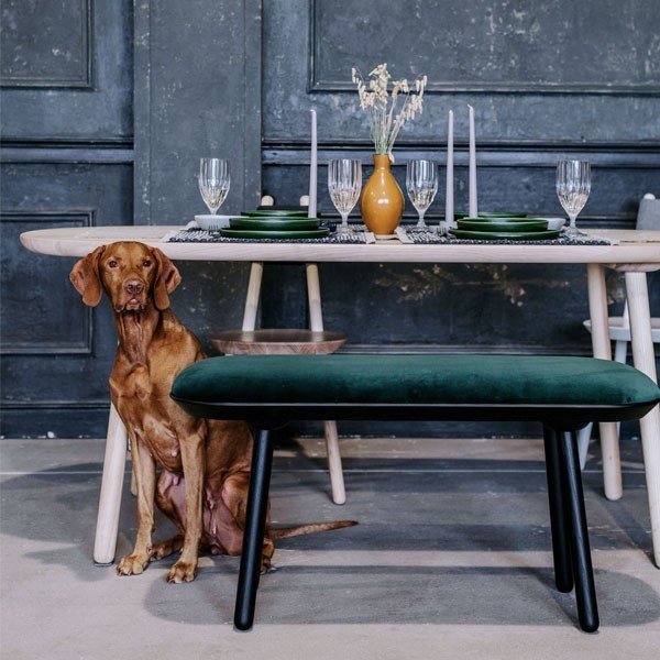 Banc Naïve Frêne et textile vert - EMKO